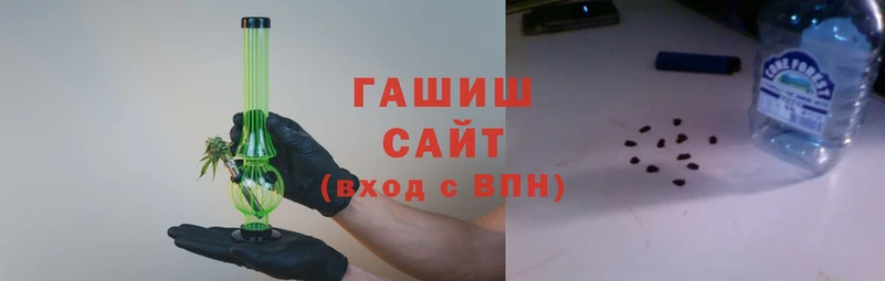 гашик Корсаков