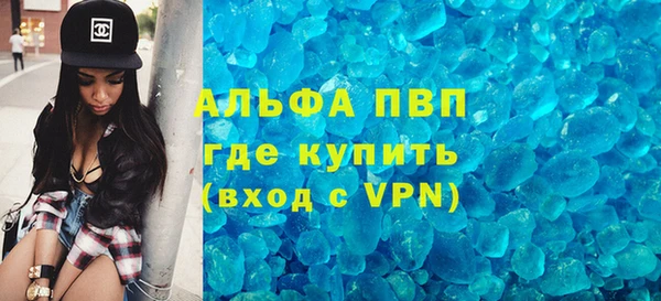 гашик Корсаков