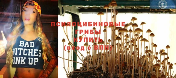 тгк Костерёво