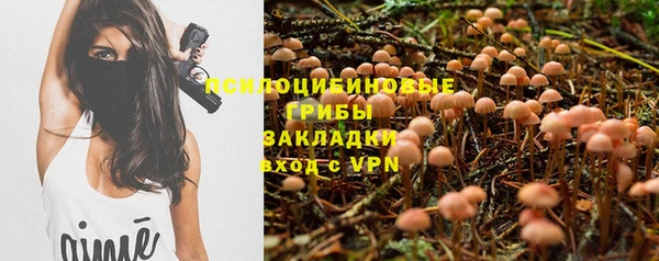 тгк Костерёво
