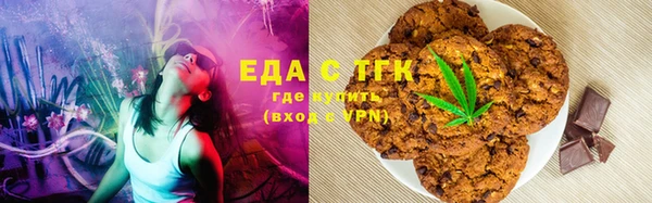 гашик Корсаков