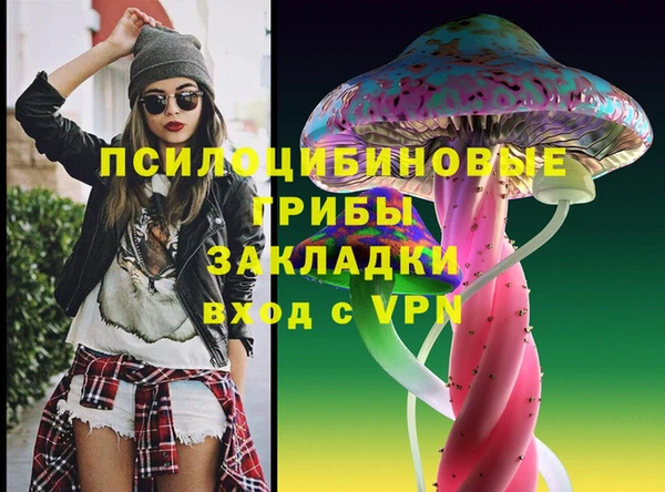гашик Корсаков
