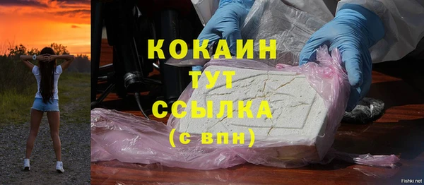 гашик Корсаков