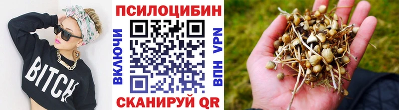 Галлюциногенные грибы Cubensis  Купить закладки  Кириши 